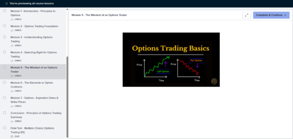 OPTIONS TRADING 1-DAY COURSE™ - Image 2