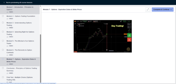 OPTIONS TRADING 1-DAY COURSE™ - Image 3